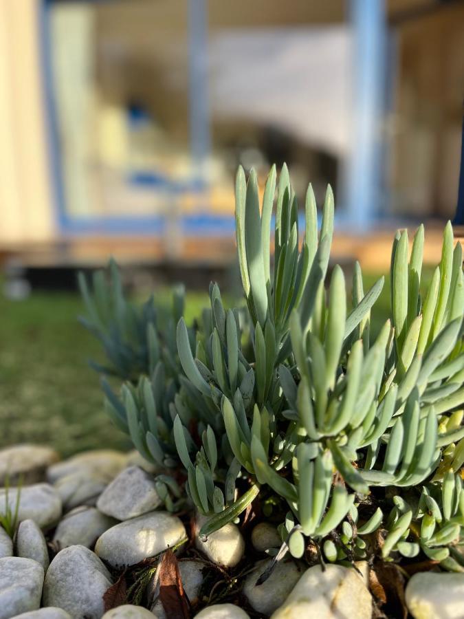 * Le Hameau De La Plage * エターブル エクステリア 写真
